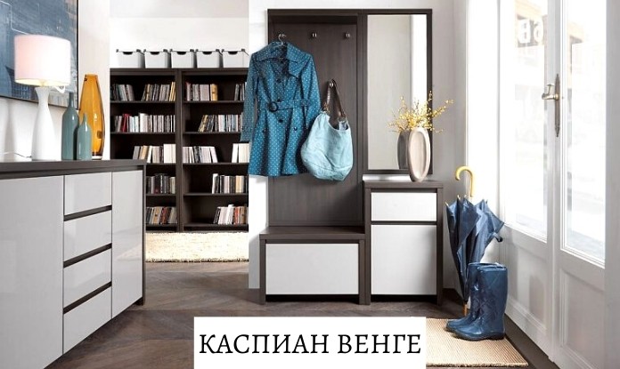 Мебели за антре Каспиан Венге