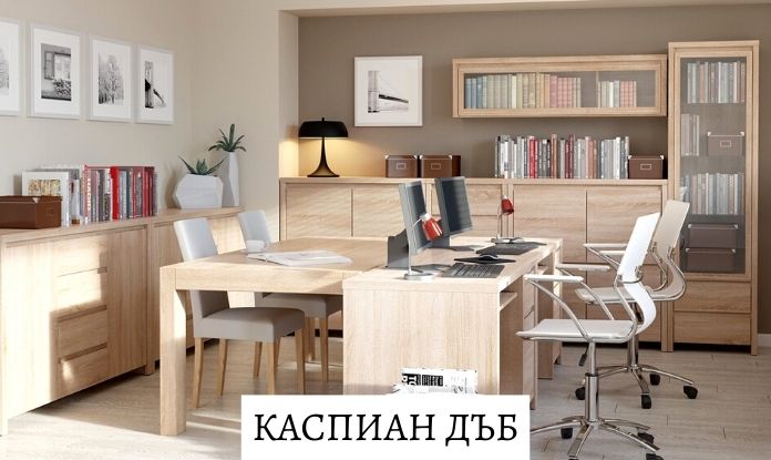 Модули за офис Каспиан Дъб