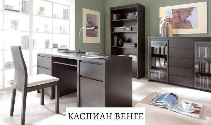 Модули за офис Каспиан Венге