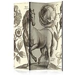 Двустранен параван с винтидж илюстрация на кон и цветя-вариант 1