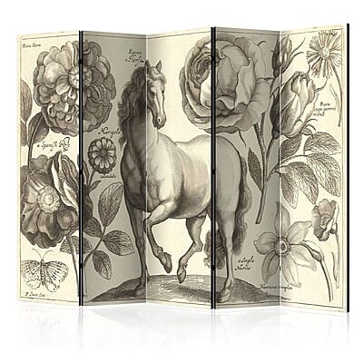 Двустранен параван с винтидж илюстрация на кон и цветя-вариант 2