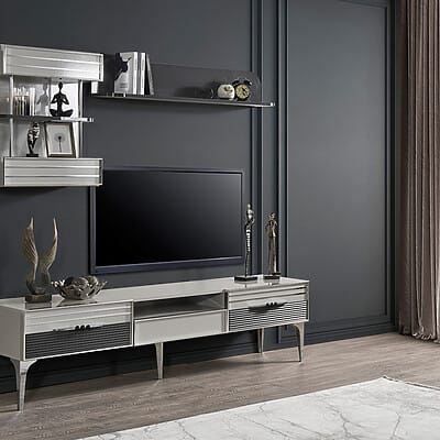 Холна секция Meric